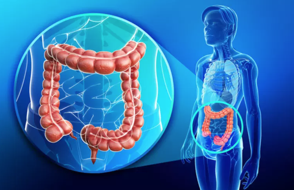 Coloscopie : endoscopie du colon et rectum Nantes Jules Verne